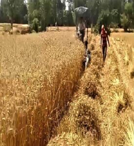 आधुनिक कृषि यंत्रों ने बदली किसान की तकदीर